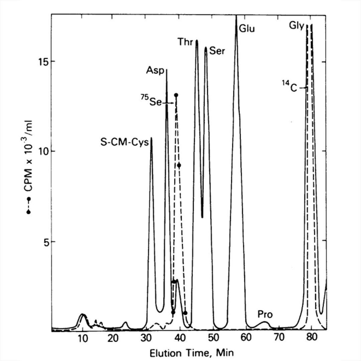 There are more than 20 amino acids