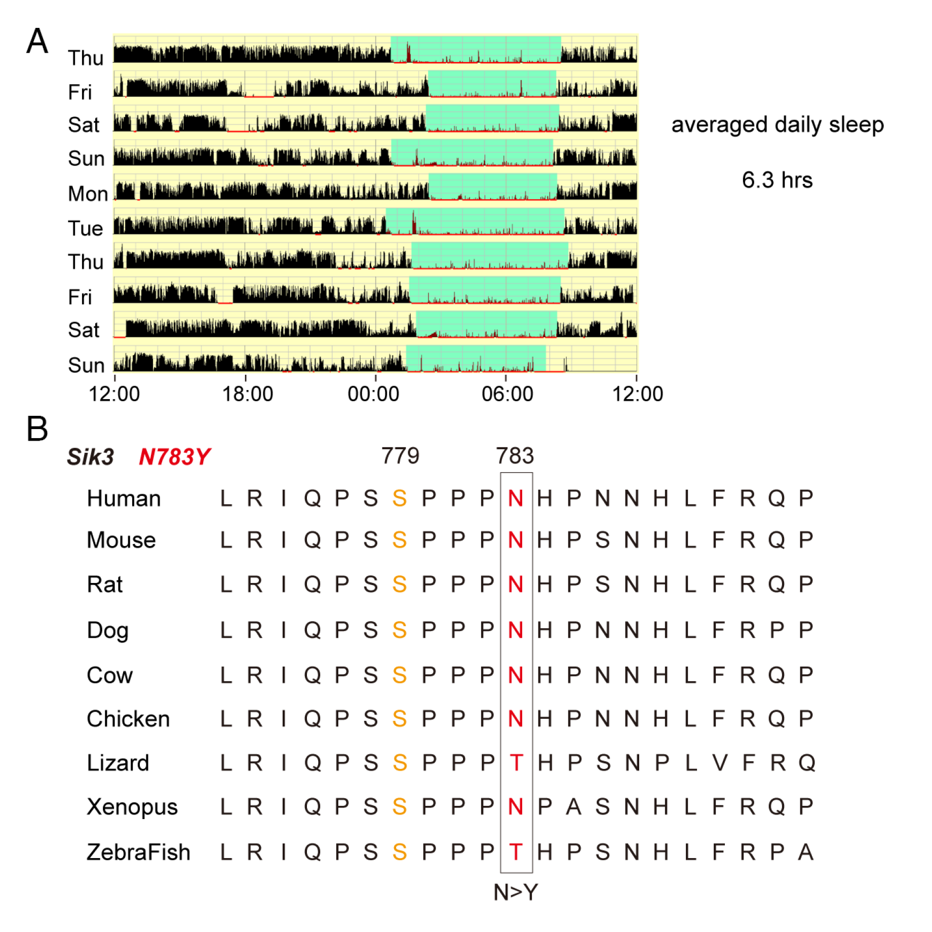 A gene for short sleep duration