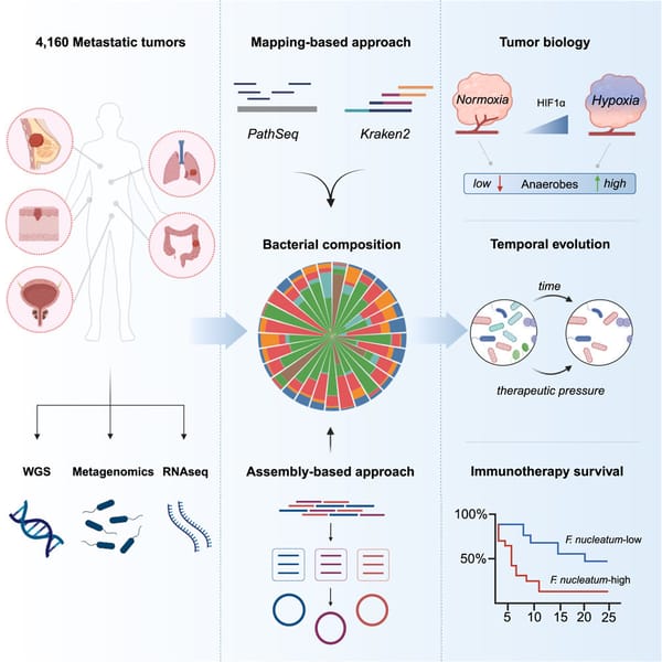 The solid tumor microbiome: friend or foe? Wait, there's a tumor microbiome??