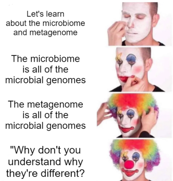 The microbiome and metagenome, what's the difference?