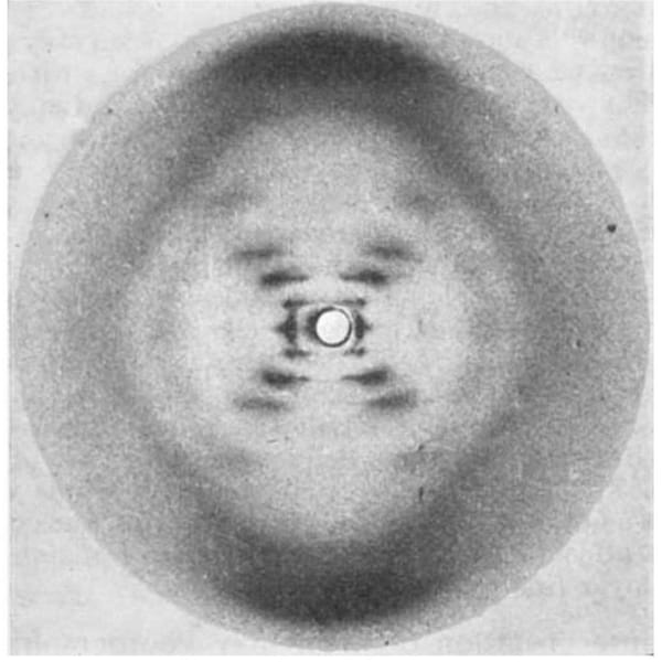 The most famous picture in the history of genetics