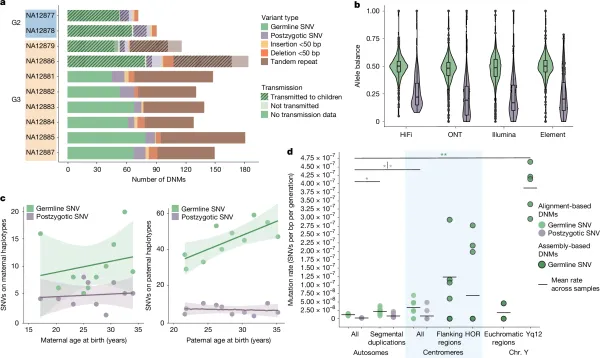 De novo mutations are more common than we previously thought