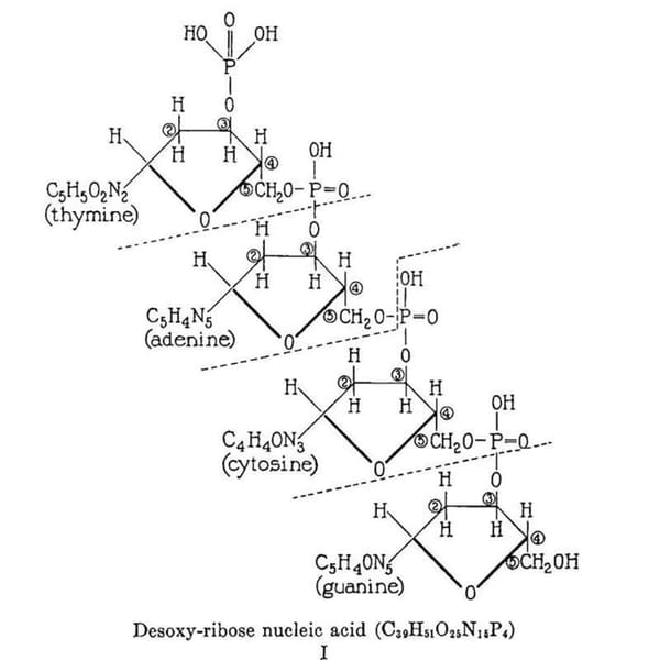 The 2D structure of DNA was solved by someone you've probably never heard of before