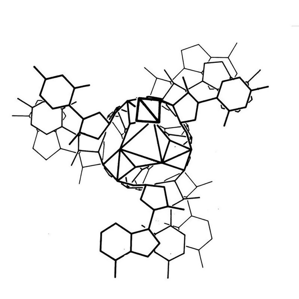Linus Pauling got the 3D structure of DNA wrong